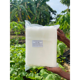 Lưới chắn côn trùng khổ 2x10 met - loại 32 mesh chuyên dùng màng che côn trùng trồng rau ăn lá