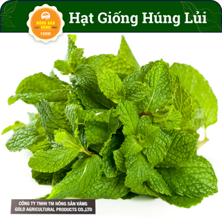 Hạt giống Rau Húng Lủi, Bạc Hà Âu Dễ Trồng Dễ Chăm Sóc, Sinh Trưởng Tốt (Gói 100 hạt) - Nông Sản Vàng
