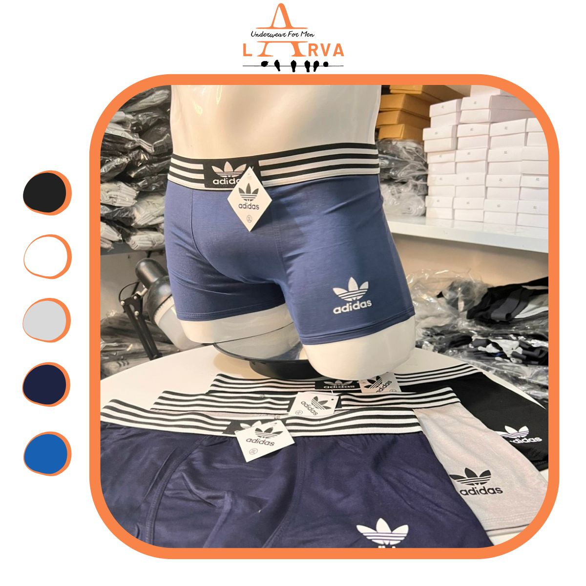 Quần sịp nam, Quần lót nam 5 màu basic Chất cotton Mềm Thấm hút tốt, DAS ba lá Thể thao Năng động, Cạp chun kẻ s
