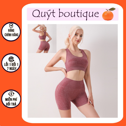 Bộ tập gym yoga nữ, bộ đùi dệt kim tập gym áo bra có sẵn mút ngưc chất liệu co giãn tốt, thấm hút mồ hôi tốt S045