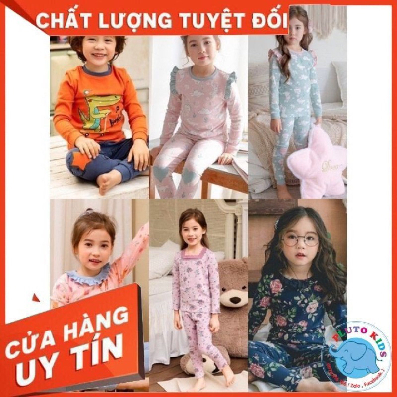 bộ cotton siêu co giãn 4 chiều link 5