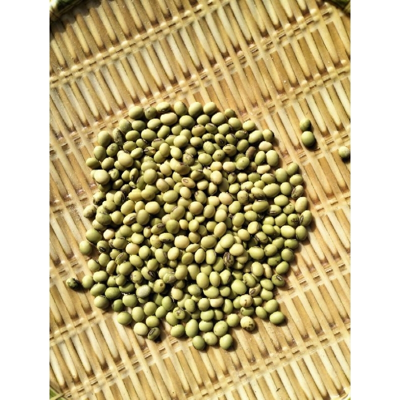 ĐẬU NÀNH XANH Hữu cơ