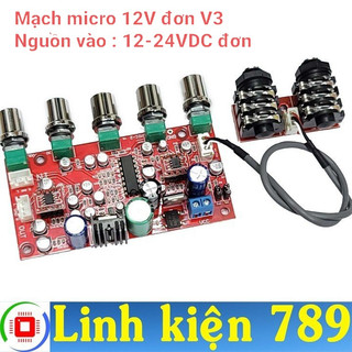 Mạch micro karaoke 12v đôi v1 / đơn v2 / đơn v2.1 / đơn v3 - linh kiện 789