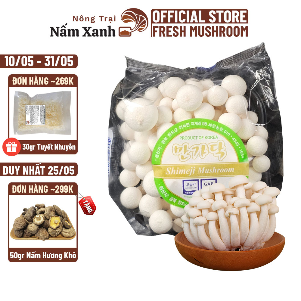 Nấm Linh Chi Trắng Hàn Quốc Tươi Ngon (Hộp 150gr 450gr) Thanh Sạch - Nông Trại Nấm Xanh