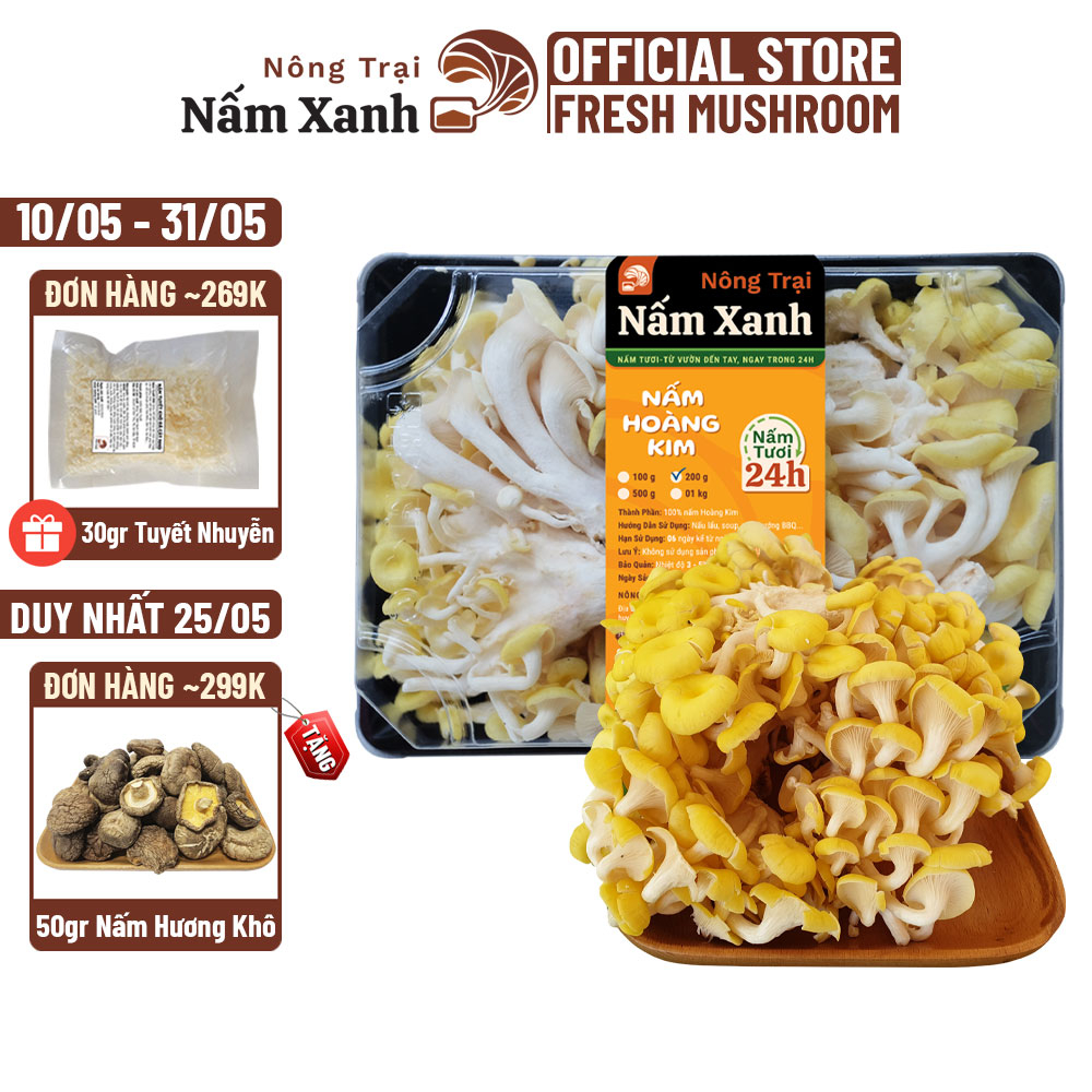 Nấm Hoàng Kim Tươi 100gr 200gr (Nấm Ngô Tươi) Sạch Vàng Ngon Ngọt - Nông Trại Nấm Xanh