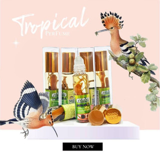Sỉ lố 12 chai Dầu tinh lăn Thái Lan chính hãng