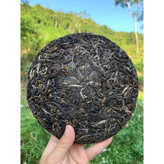 ÉP BÁNH TRÀ SHAN TUYẾT CỔ THỤ HÀ GIANG 357GR tặng dụng cụ tách trà