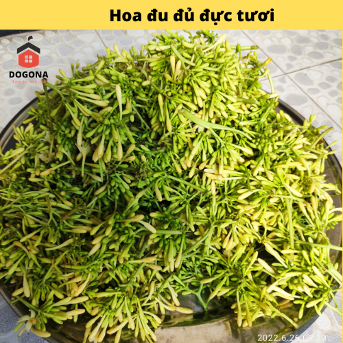 Hoa Đu Đủ Đực Tươi 100% Sạch - Dùng Chưng Cất Siro Hoặc Ngâm Mật Ong, Rất Tốt Cho Cơ Thể.