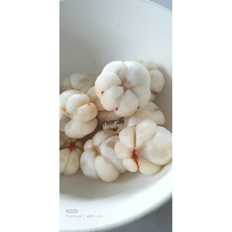 CÂY GIỐNG MĂNG CỤT THÁI - GHÉP