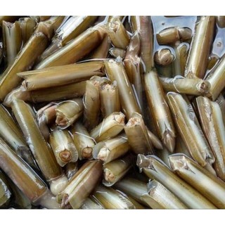 ỐC MÓNG TAY 500G
