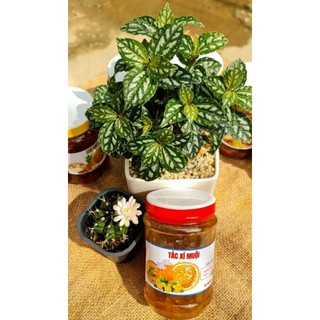 5 ký Tắt Xí Muội (10 hộp) Sỉ