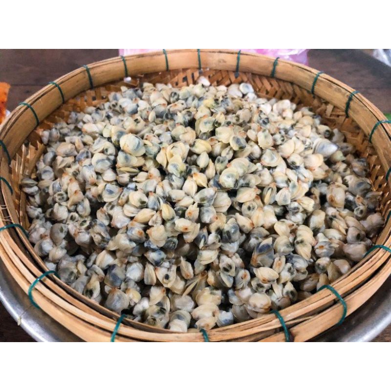 HẾN RUỘT TƯƠI 500G