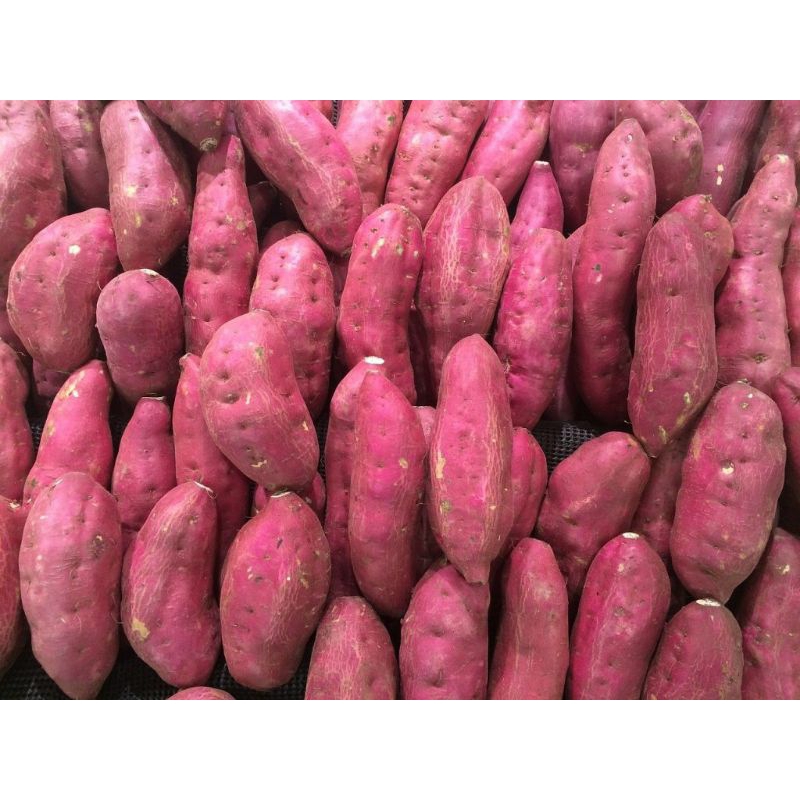 KHOAI LANG 1KG