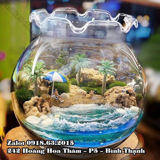 Bình thủy tinh nuôi cá để bàn b3,chậu cá thủy tinh mini,bình thủy tinh trồng cây thủy sinh