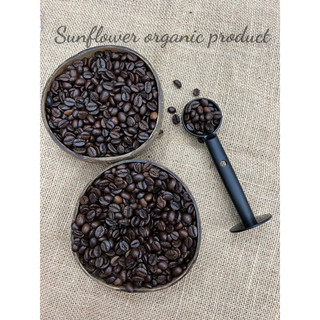 Túi thơm khử mùi hạt cà phê Robusta Cầu Đất