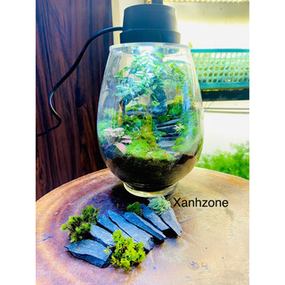 Đá bậc thang set hồ bán cạn, terrarium. túi 15 viên
