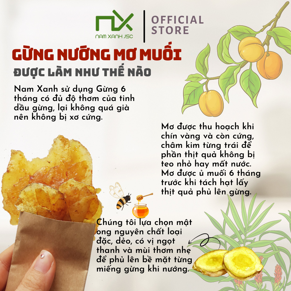 Gừng Nướng Mơ Muối Nam Xanh Hộp 80g(100g)