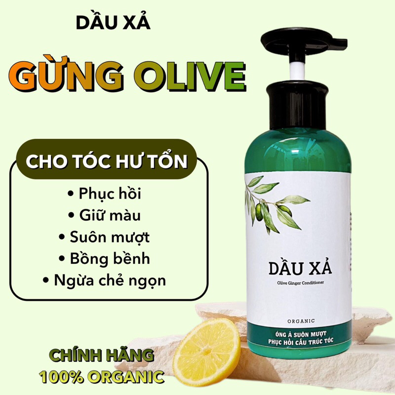 Dầu Xả GỪNG OLIVE ( No Silicon ) phục hồi tóc yếu, cho tóc nhuộm, uốn, hư tổn