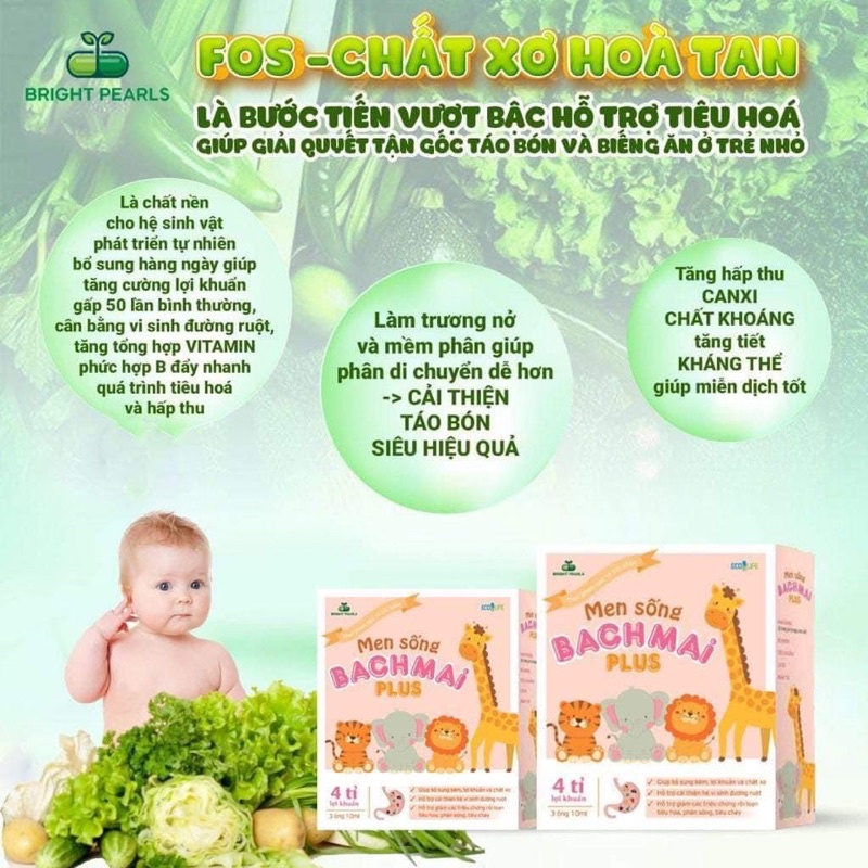 MEN SỐNG BẠCH MAI PLUS