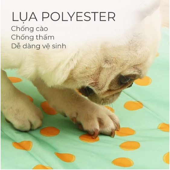 Giao hỏa tốc - Thảm mát cho thú cưng - Đệm gel lạnh chống nóng cho thú cưng