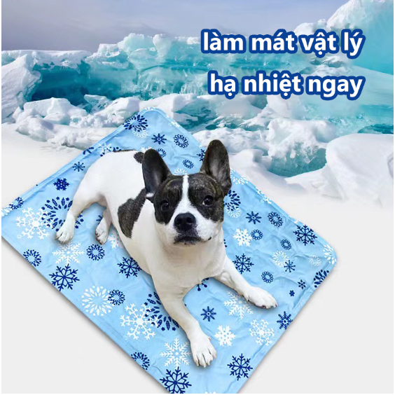 Giao hỏa tốc - Thảm mát cho thú cưng - Đệm gel lạnh chống nóng cho thú cưng