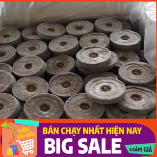 Viên nén xơ dừa