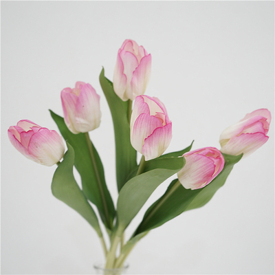 🌷Hoa Tulip Giả🌷 Lụa Mềm Phủ Dưỡng Ẩm Căng Mọng Như Thật - decor, trang trí, phụ kiện chụp ảnh | BigBuy360 - bigbuy360.vn