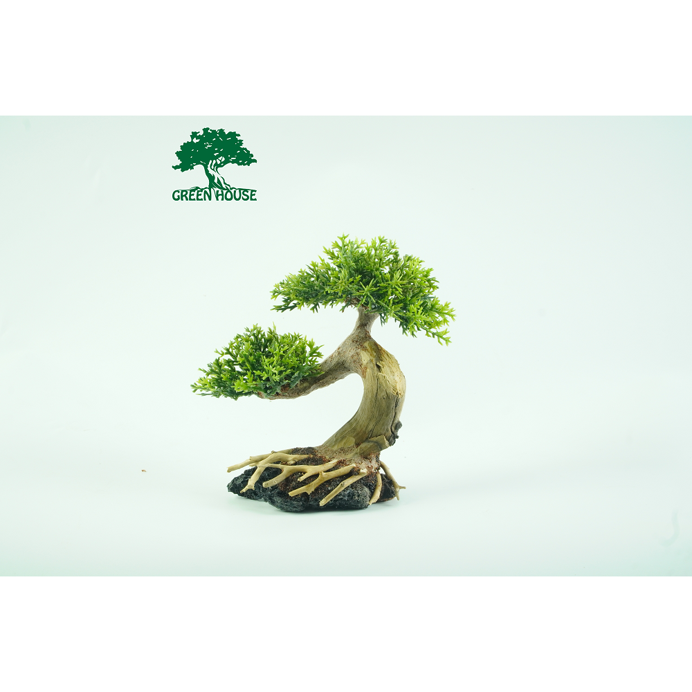 Lũa cho hồ 20 x20, hồ Cubic
