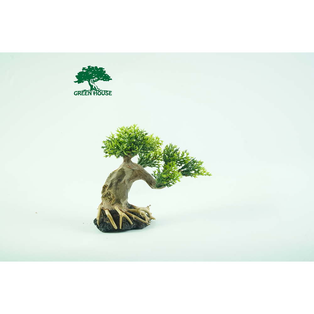 Lũa cho hồ 20 x20, hồ Cubic