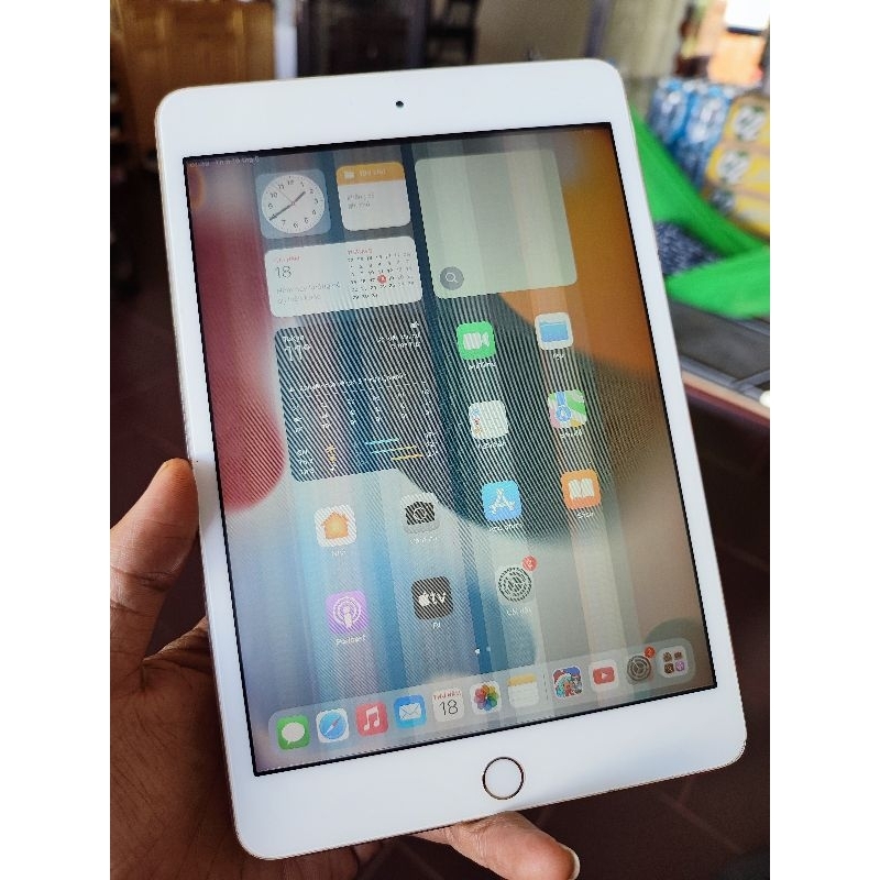 Xác máy tính bảng mini 4