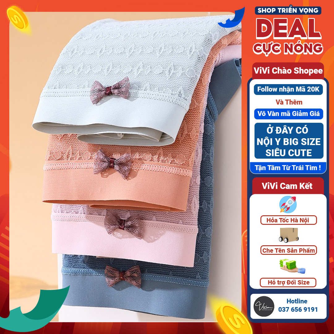 Quần lót nữ Big size - Quần lót big size nữ - Quần lót ren big size phối viền su mát lạnh (Size tới 110Kg - Mã N05)