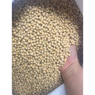 500g Hạt đậu nành làm sữa
