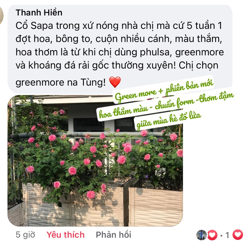 GREEN MORE GREEN MORE+ CÂY XANH KHOẺ HƠN