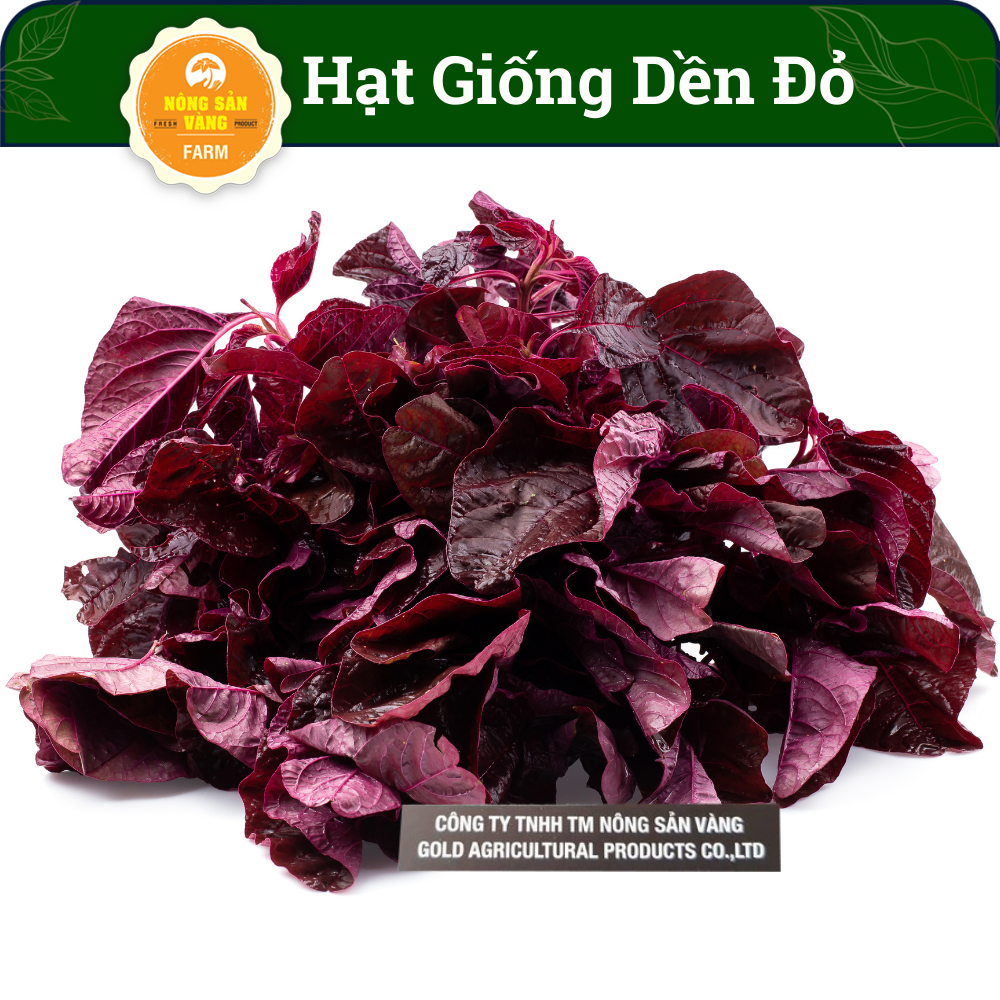 Hạt giống Rau Dền Đỏ, Vị Ngọt, Tính Mát Nhiều Dinh Dưỡng, (Gói 20 Gram) - Nông Sản Vàng