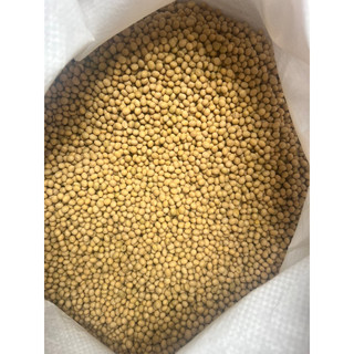 500g Hạt đậu nành làm sữa