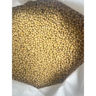 500g Hạt đậu nành làm sữa