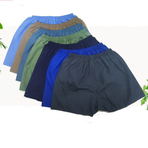 Quần đùi Nam - Quần Nam Thể Thao , Mặc Nhà đáy tam giác ,chất liệu Kate mền Mại Mịn Màng - tannguyen_store
