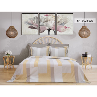 Bộ chăn ga gối cotton 2mx2.2m  Sông Hồng
