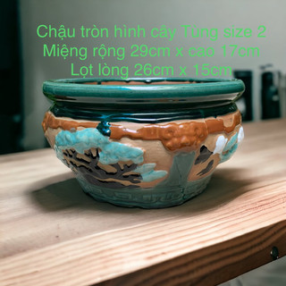 Chậu sứ tròn cây tùng size 2
