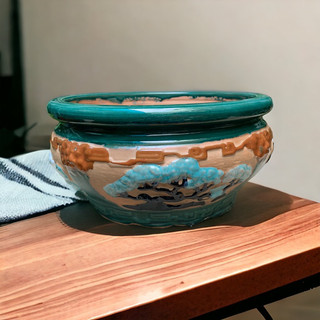chậu sứ tròn cây tùng size 2