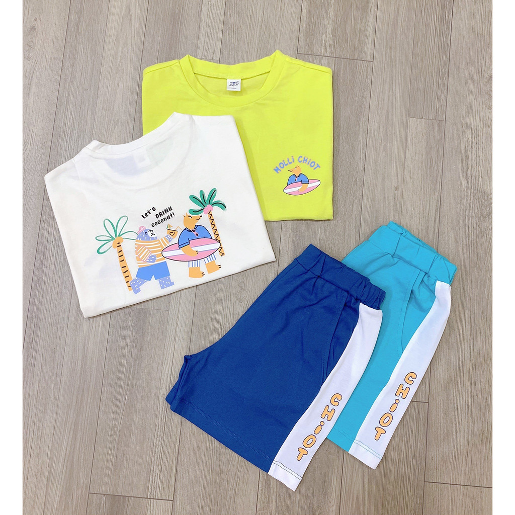 BH23111 Bộ Mollimelli xuất hàn