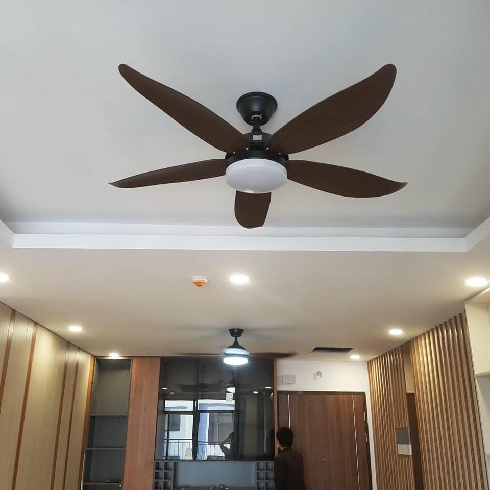Quạt trần đèn 5 cánh cong động cơ DC inventer 6 cấp gió tích hợp đèn 3 chế độ sáng Kèm điều khiển Bảo hành 10 năm