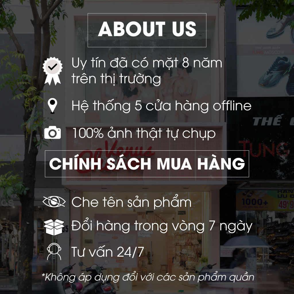 Quần lót nữ freesize  tàng hình không viền kháng khuẩn ngàn lỗ thoáng Venus Charm 06509