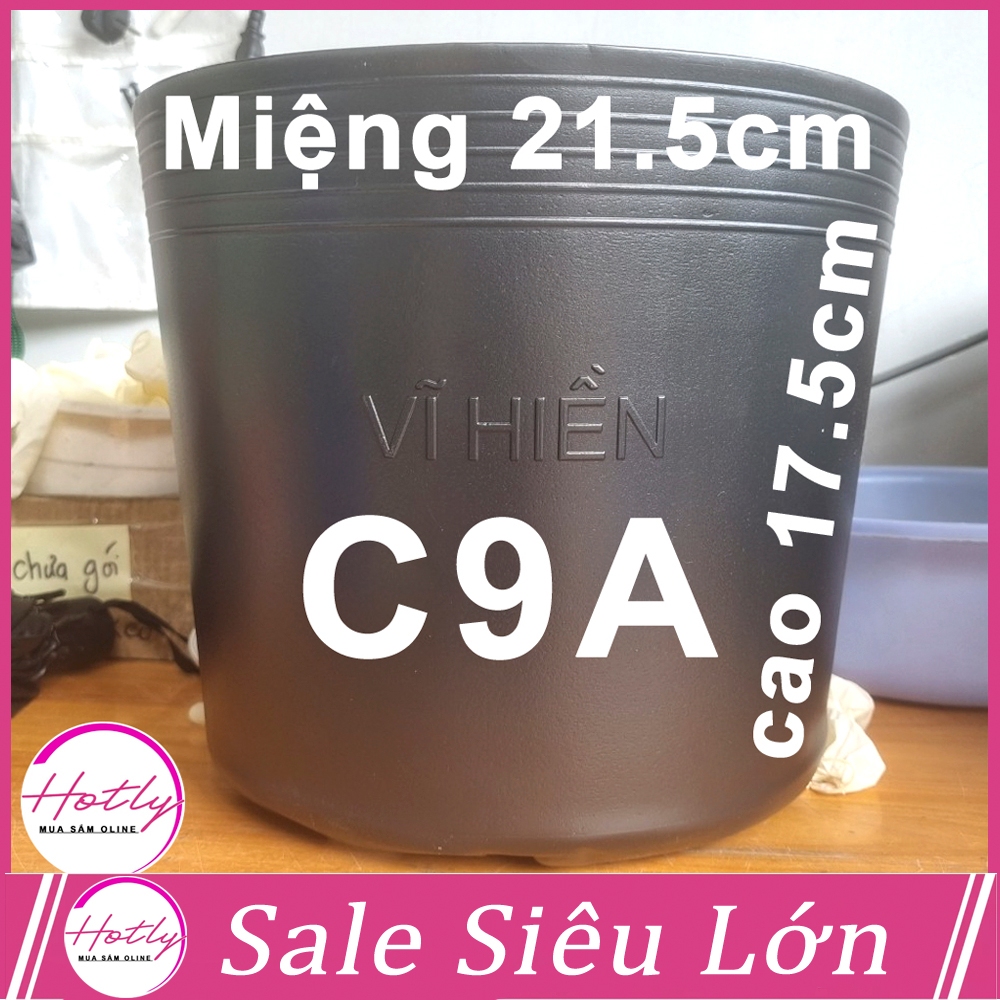 100 Chậu nhựa C9.A  21.5x17.5cm trồng cây ăn trái và hoa,bền 10 năm -77120