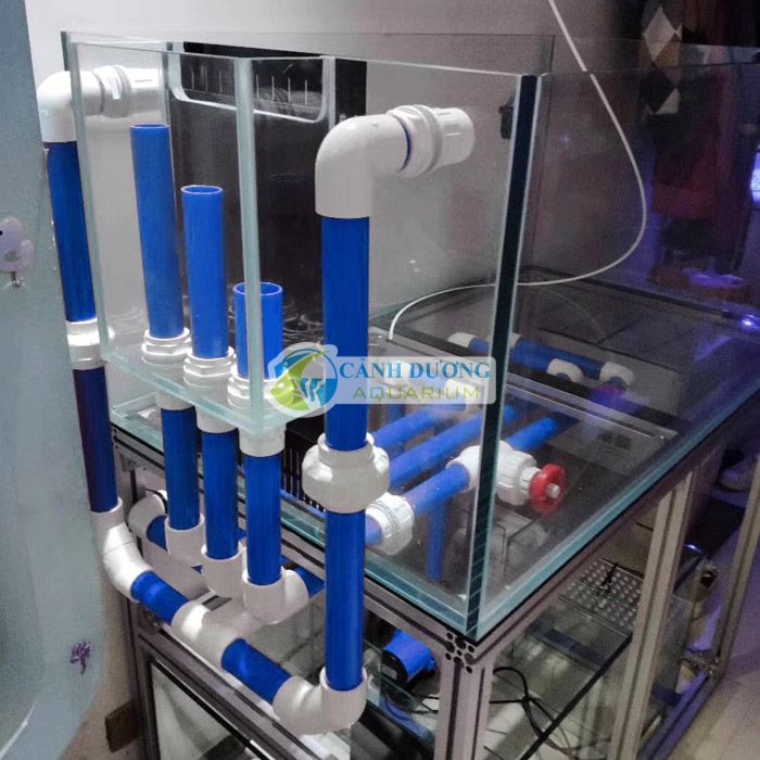 Ống SANKING màu xanh UPVC Phi 20-25-32-40 cho hồ cá