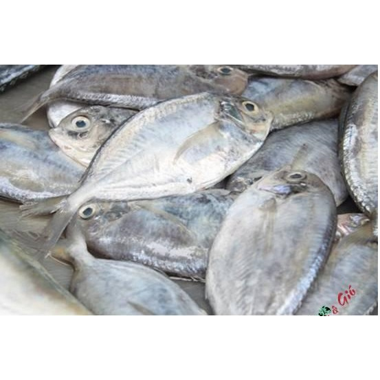 Cá liệt khô - 1kg loại ngon - đặc sản Phú Yên