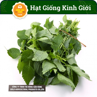 Hạt giống Cây Kinh Giới, Loại Rau Thơm Có Chứa Rất Nhiều Tinh Dầu Tốt Cho Sức Khỏe (Gói 1 Gram) - Nông Sản Vàng