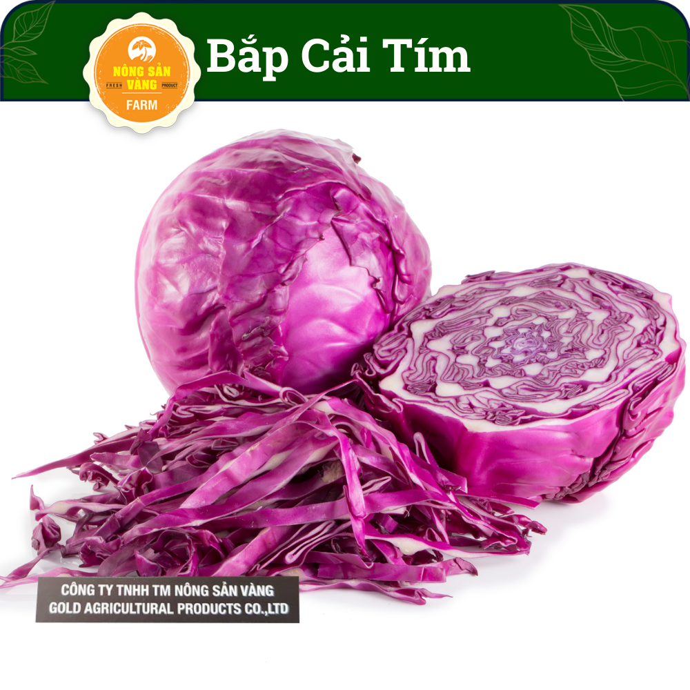 Hạt Giống Bắp Cải Tím Chịu Nhiệt, Năng Suất Cao (Gói 0,5 Gr), Ít Gặp Sâu Bệnh Trong Thời Gìan Gieo Trồng- Nông Sản Vàng