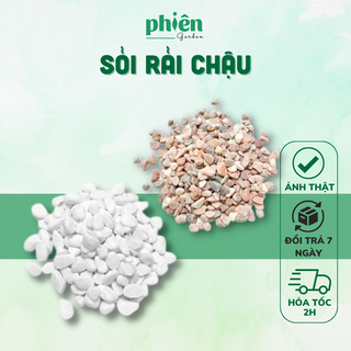 Sỏi trắng lát nền, lót chậu trang trí cây xanh, trang trí chậu cây