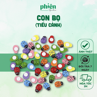 Bọ cánh cứng trang trí tiểu cảnh, sen đá, terrarium, Phụ kiện Tiểu cảnh mini